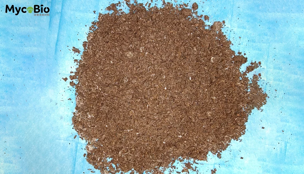 菌本|MycoBio DIY完整指南 2 7erhw lem62