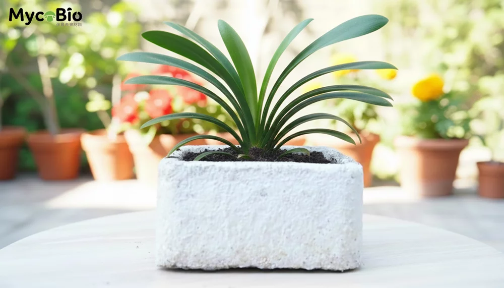 菌本|MycoBio DIY完整指南 7 b5nvn 65cw9