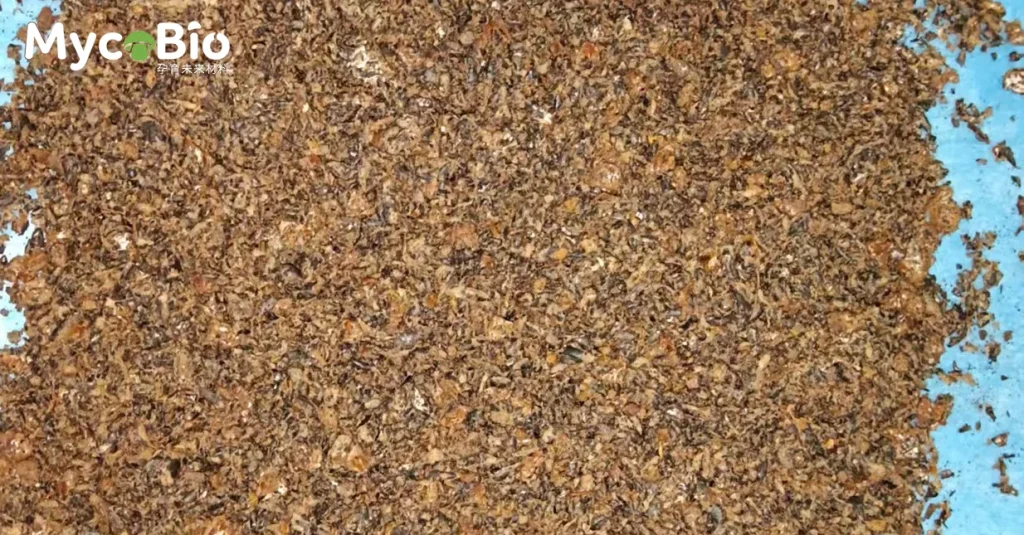 平菇 菌丝体材料套件(棉壳基材) 6 gdnig