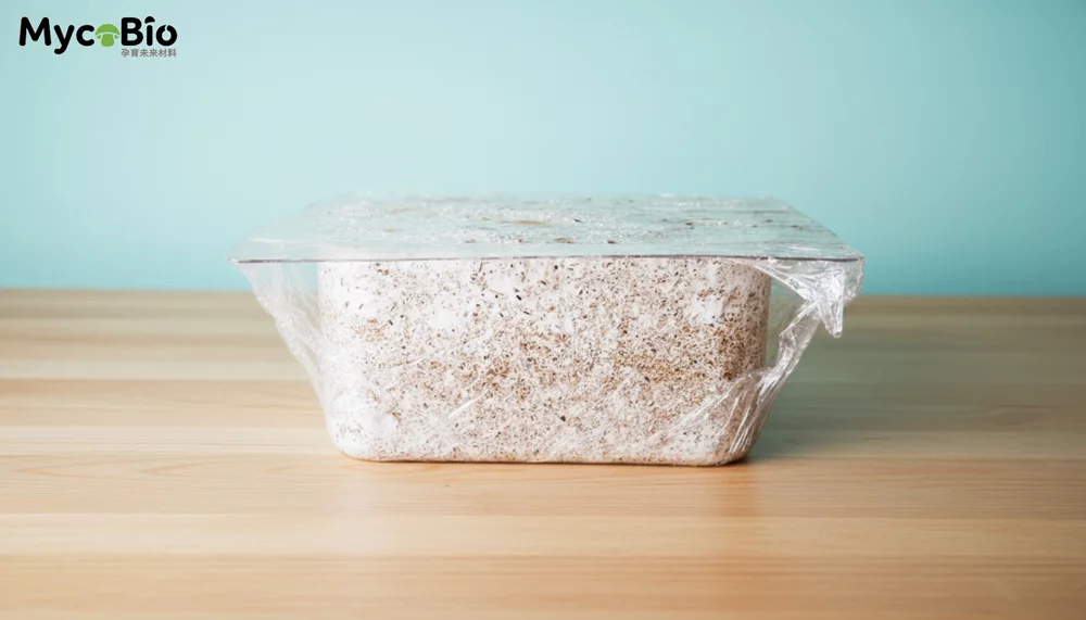 菌本|MycoBio DIY完整指南 4 mn3k9 8fb9b