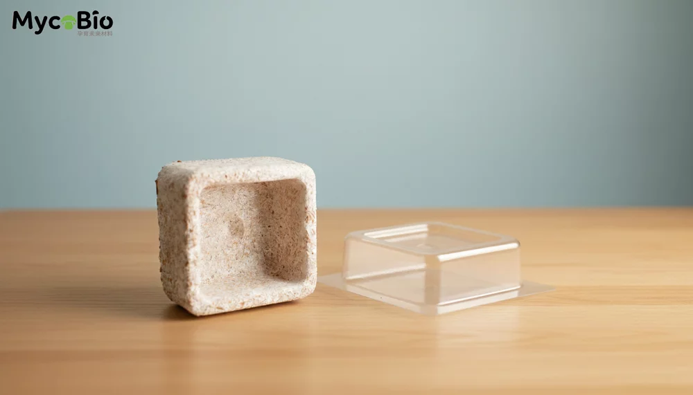 菌本|MycoBio DIY完整指南 6 qnxym