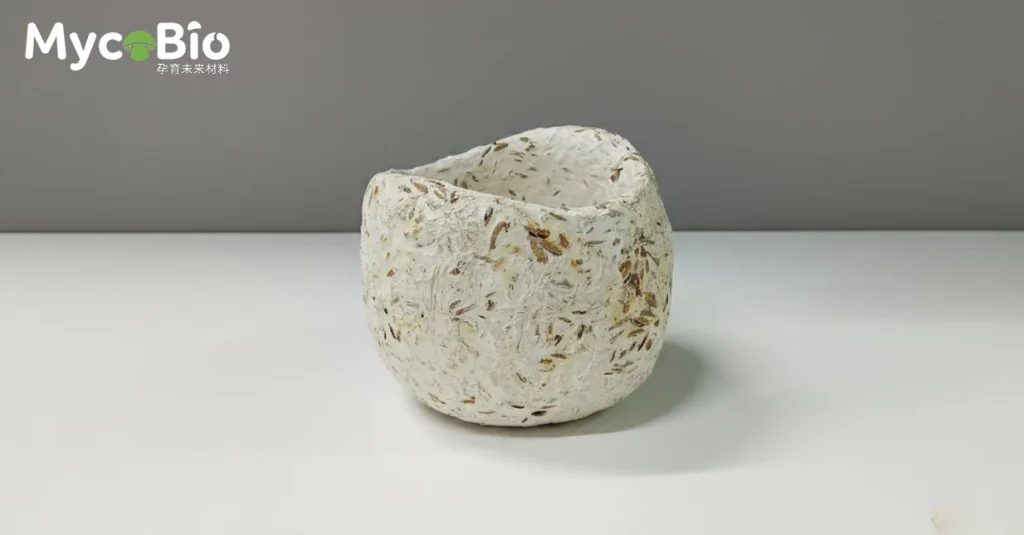 平菇 菌丝体材料套件(谷粒基材) 7 1e5h5