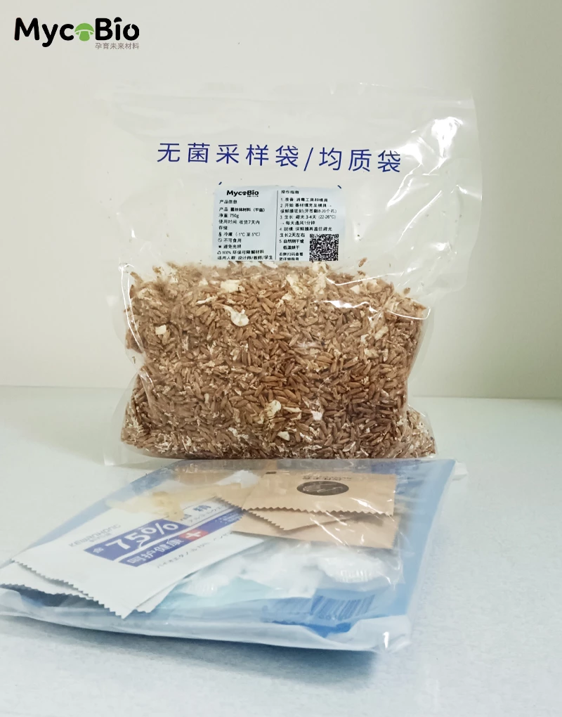 平菇 菌丝体材料套件（谷粒基材）