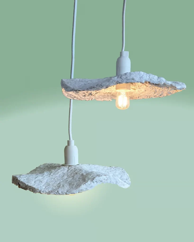 真菌会成为亚洲家具的未来吗? 9 035p4 ffscs