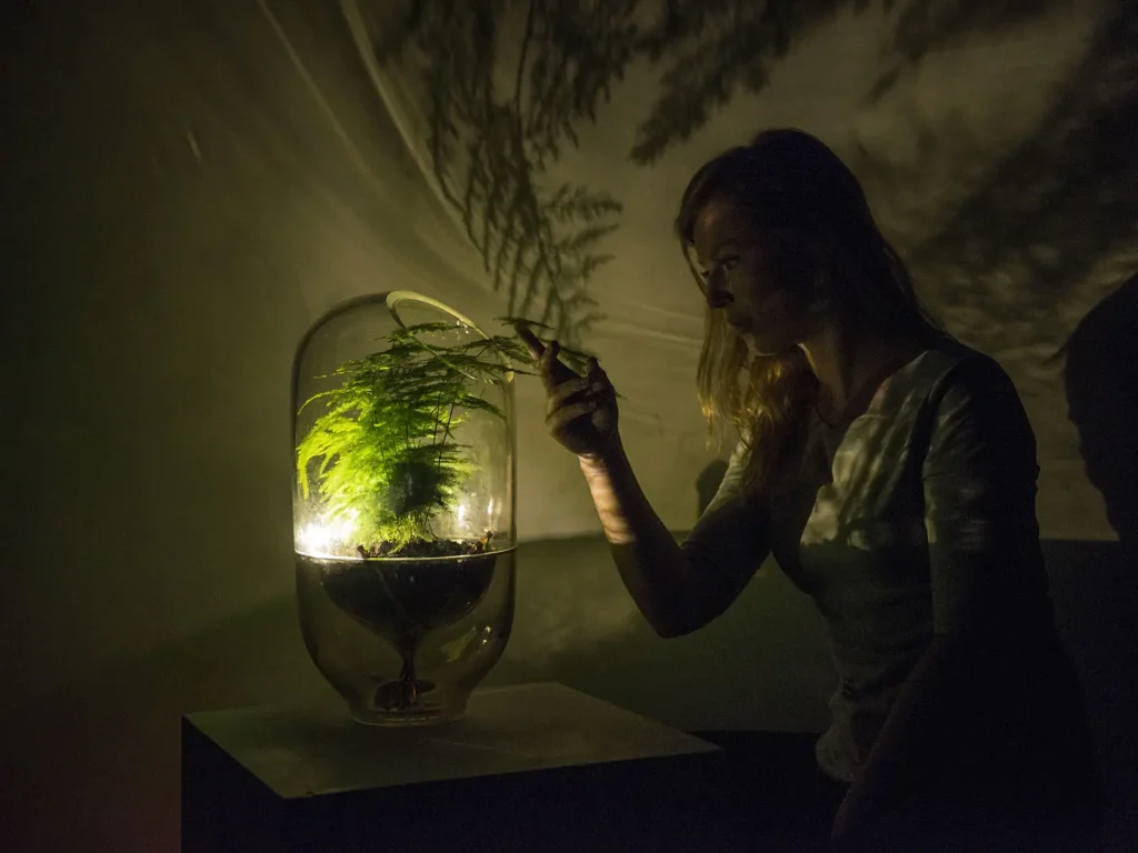 生物材料,生命材料的新前沿:它们在照明设计中的应用 6 10 Courtesy of Ermi van Oers.jpg