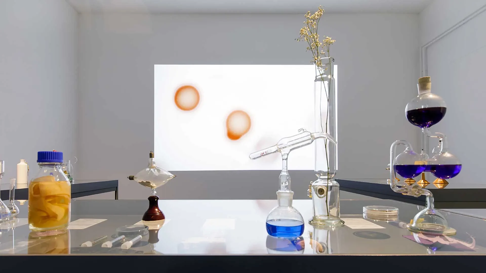 细菌:生物材料与活体材料的新前沿 1 2bxkf ffrlh