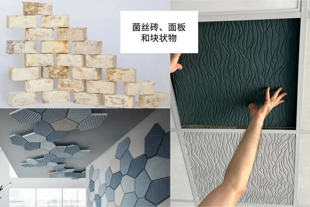 你会喜欢了解的7个菌丝复合材料的意外用途 2 6p2zd