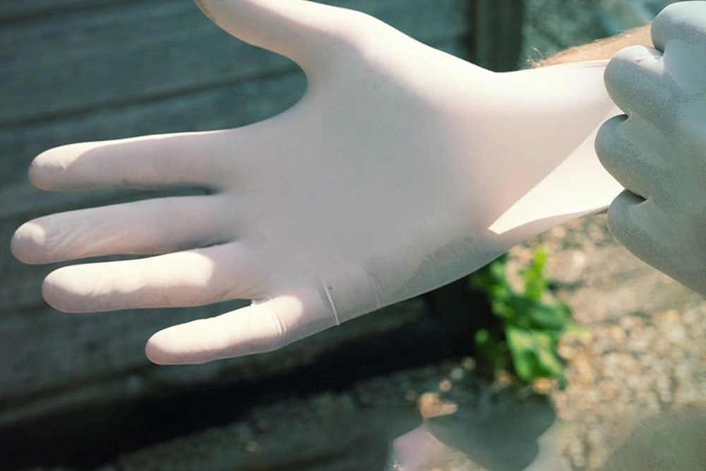 需要在无菌环境下操作吗?家里可以做吗? 1 在家中自然光环境下操作菌丝体材料的实际过程