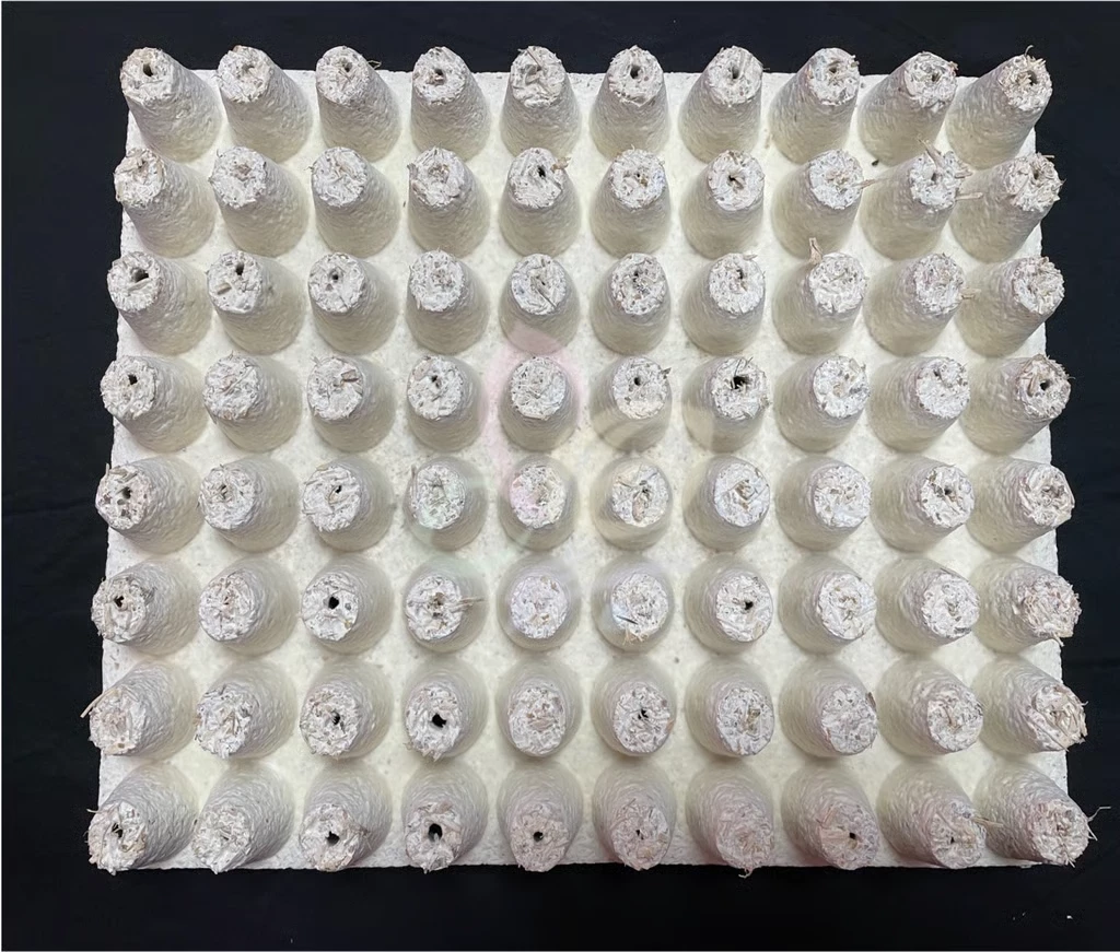 真菌会成为亚洲家具的未来吗? 6 7zg9r vhycn