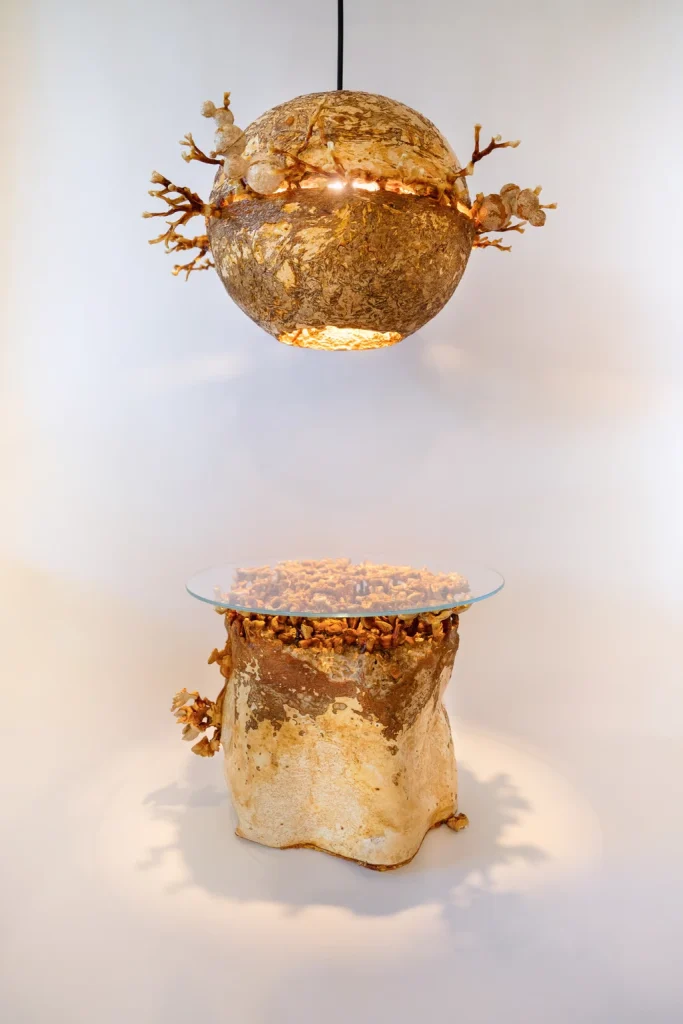 真菌会成为亚洲家具的未来吗? 2 83c6r