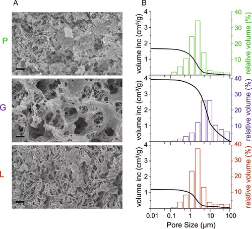 菌丝基材料物理化学性质和生长动态的微调 4 9s45n