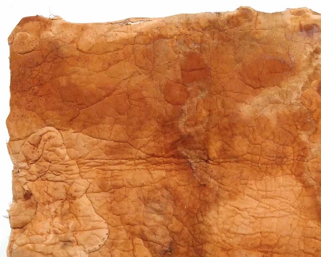 真菌菌丝体的材料 2 Tg IMG 20210107 112550i