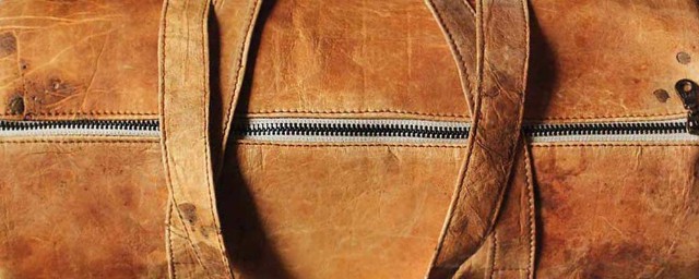 真菌菌丝体的材料 4 Tg halbiert 02 200322900981 261258i