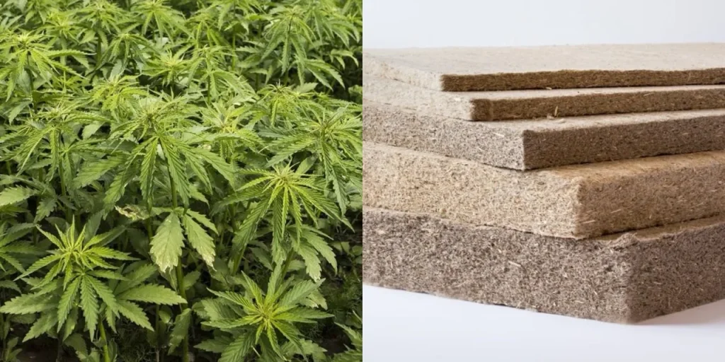 天然保温,你需要知道的事 3 hemp Large.jpeg