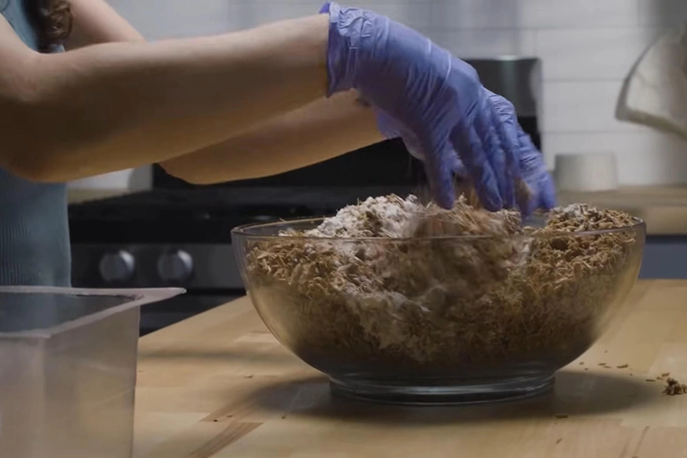 第一次操作菌丝体材料失败的常见原因有哪些? 1 新手在室内环境中操作菌丝体材料并观察生长状态的过程