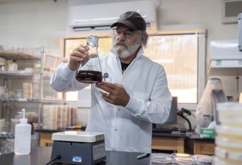 菌丝网络连接着我们所有人 5 image3