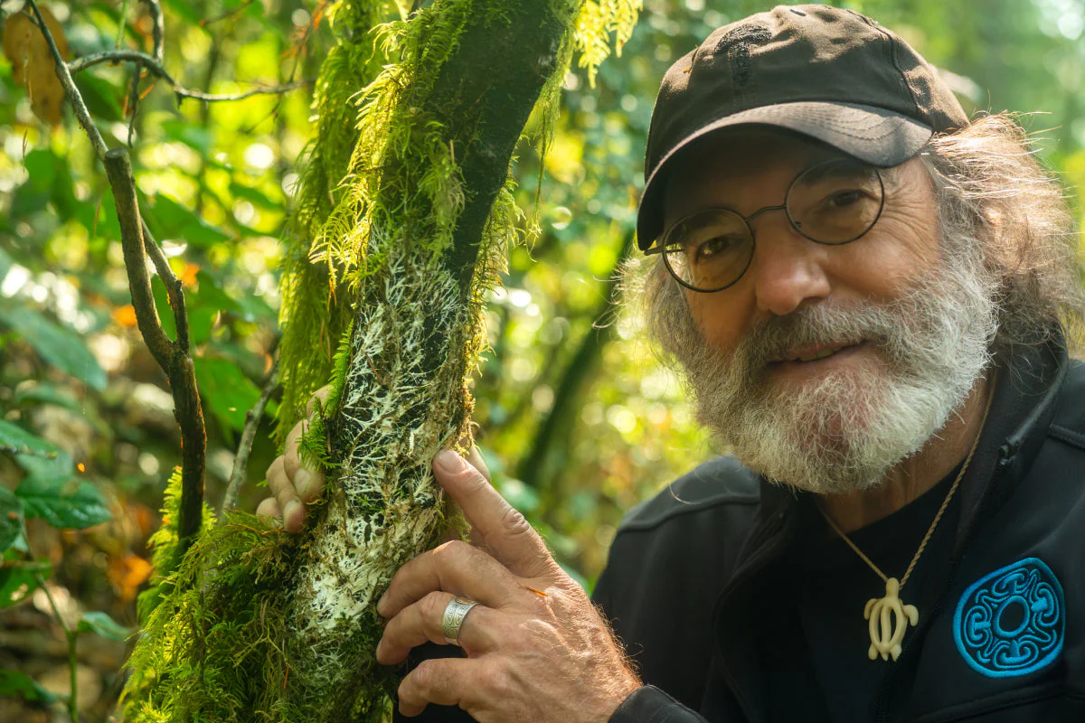 菌丝网络连接着我们所有人 1 image4