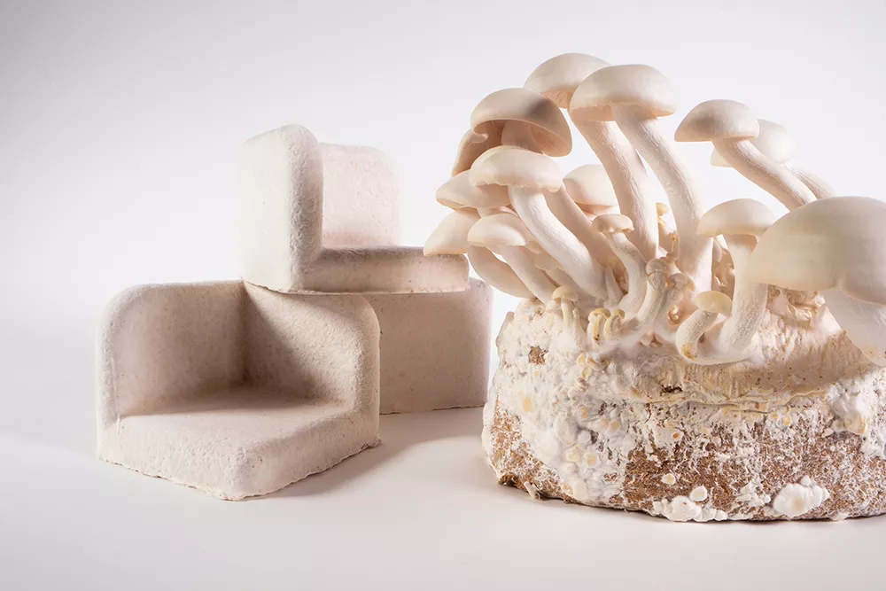 你会喜欢了解的7个菌丝复合材料的意外用途 1 kb6y