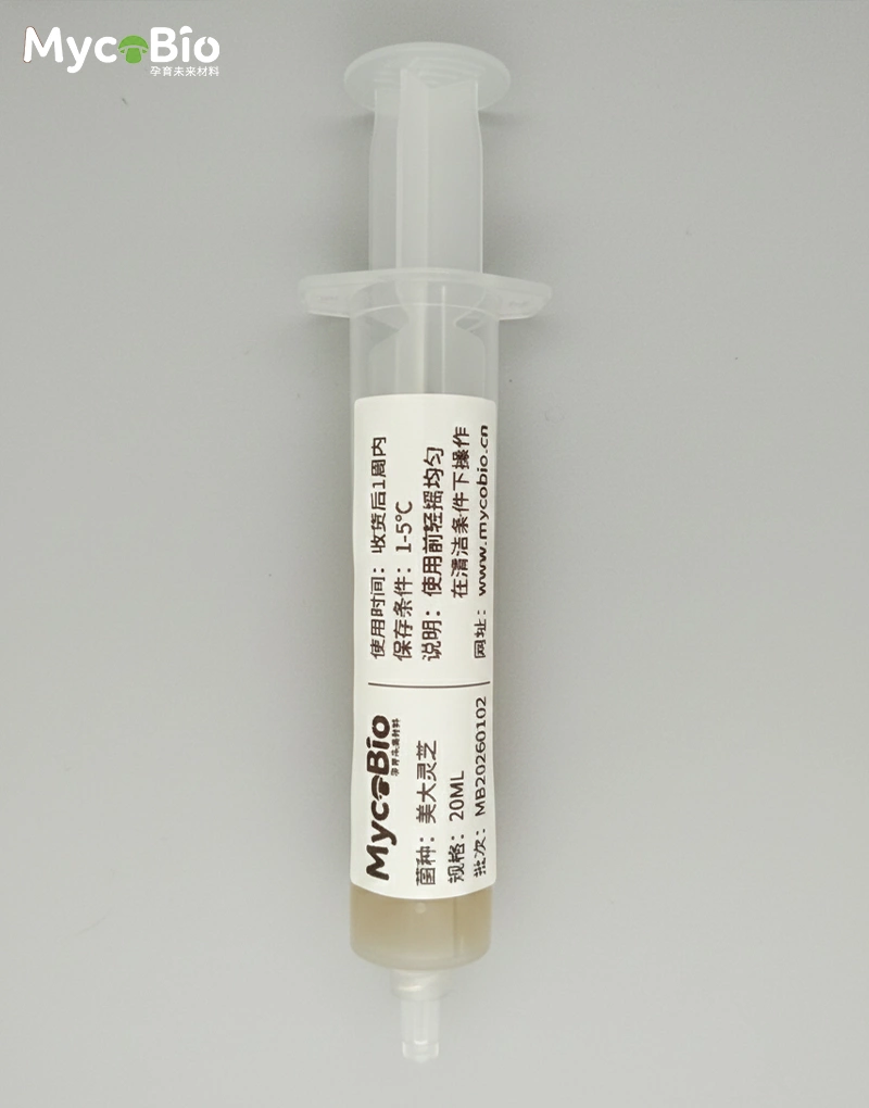 灵芝液体菌种系列