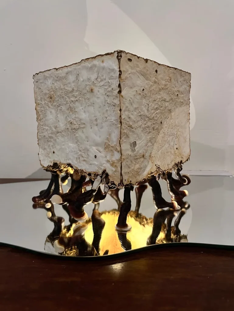 真菌会成为亚洲家具的未来吗? 3 kk2hq