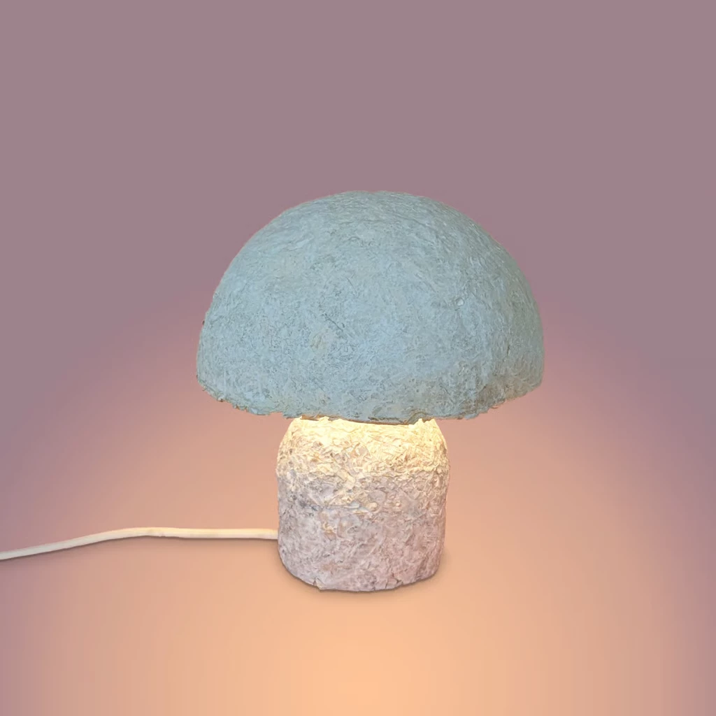 真菌会成为亚洲家具的未来吗? 12 kmkyn wjkhu