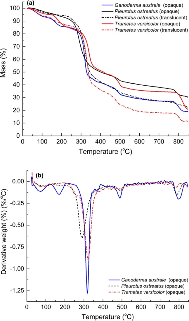 生长速率、微观结构特性和生化组成对菌丝体真菌热稳定性的影响 8 kr76