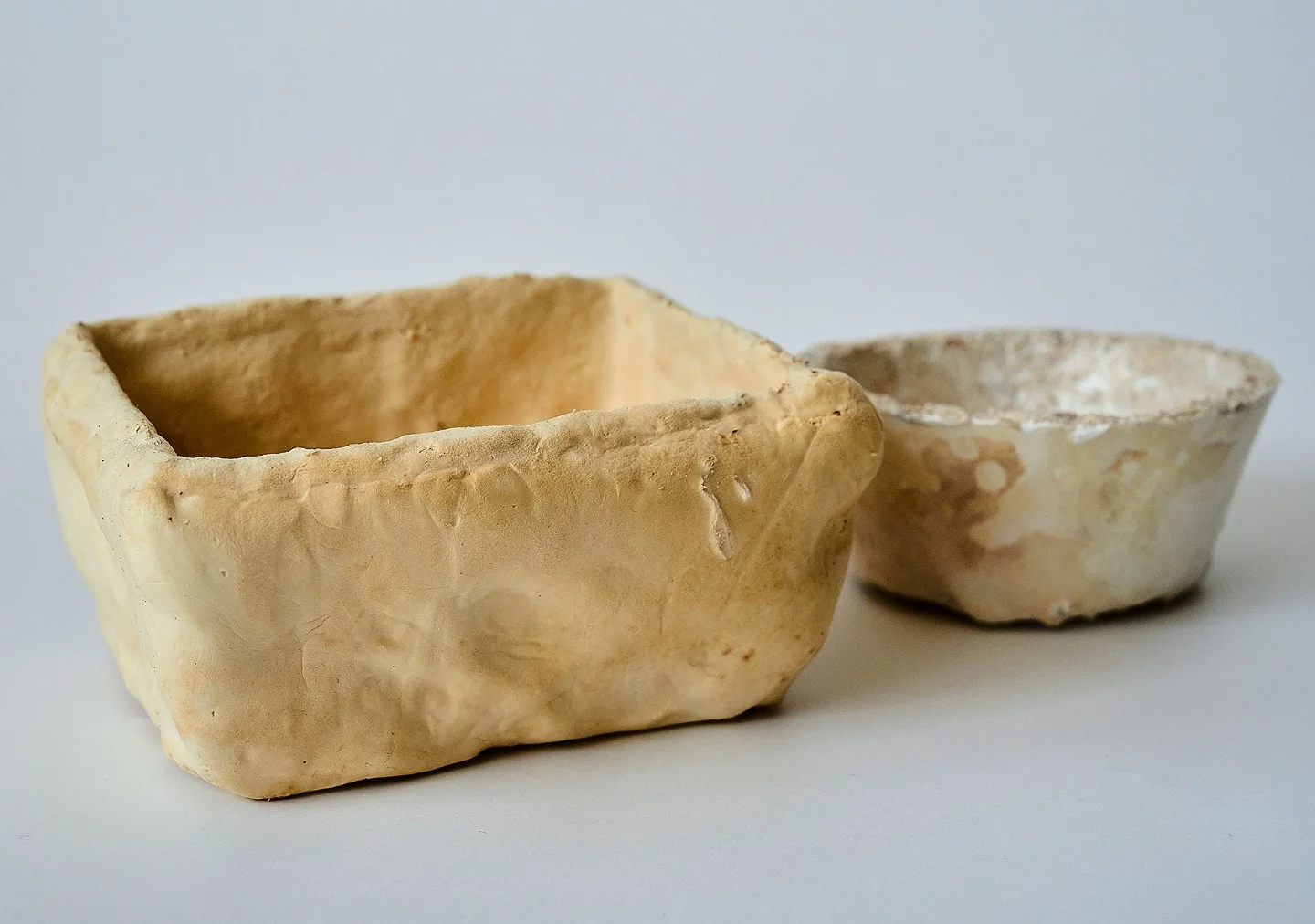 真菌菌丝体作为可持续产品的基础 1 kuwvn qwyln