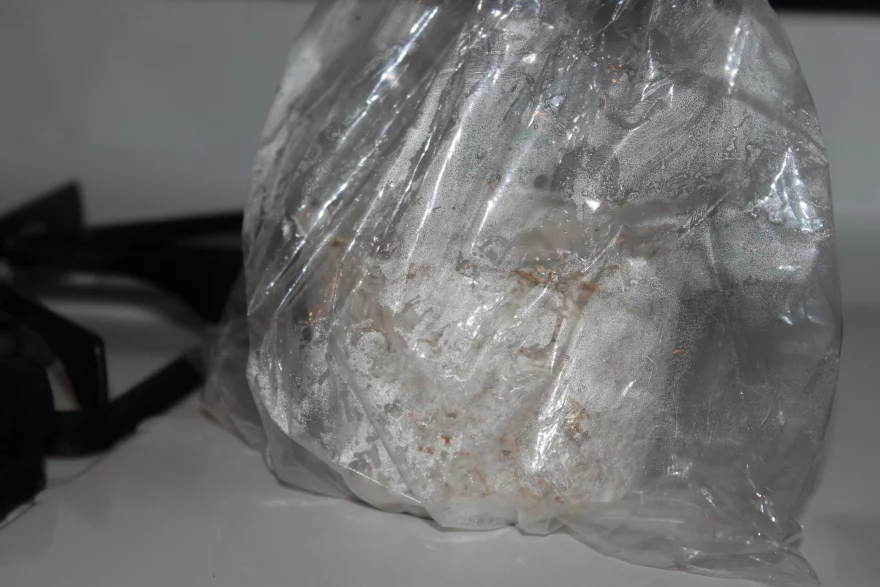 如何利用蘑菇菌丝体培育物体 5 m00ai iduih