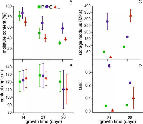 菌丝基材料物理化学性质和生长动态的微调 6 my5zs s5f1f