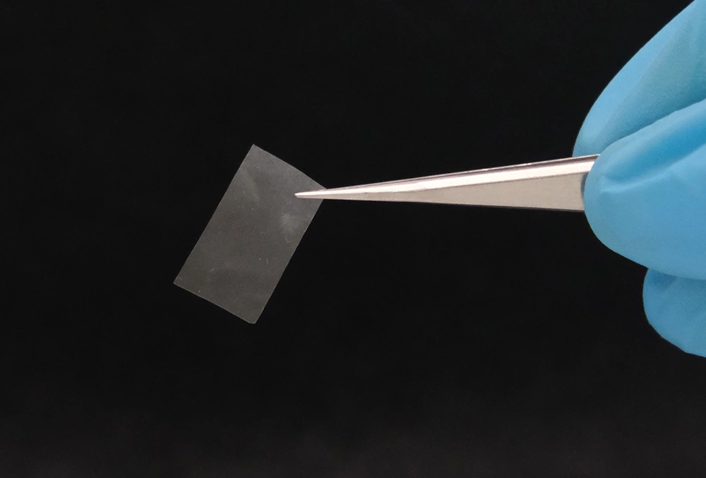 研究人员利用真菌开发活体材料 1 nvigd mcy4f