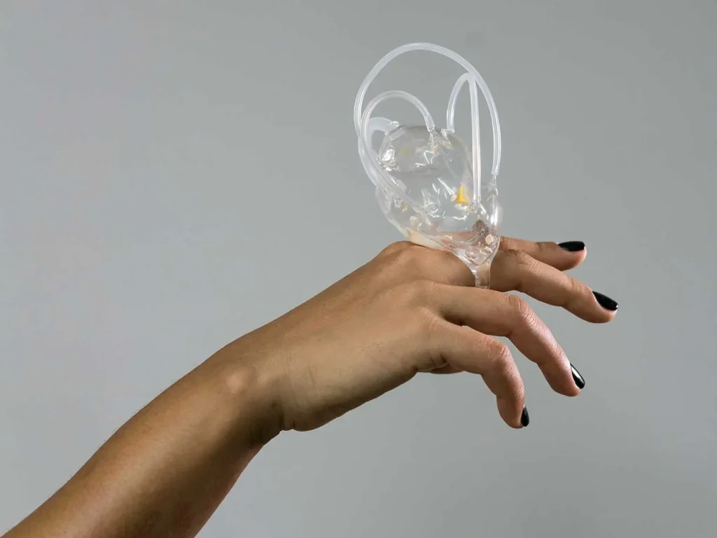 细菌:生物材料与活体材料的新前沿 9 oulqw ut2k2