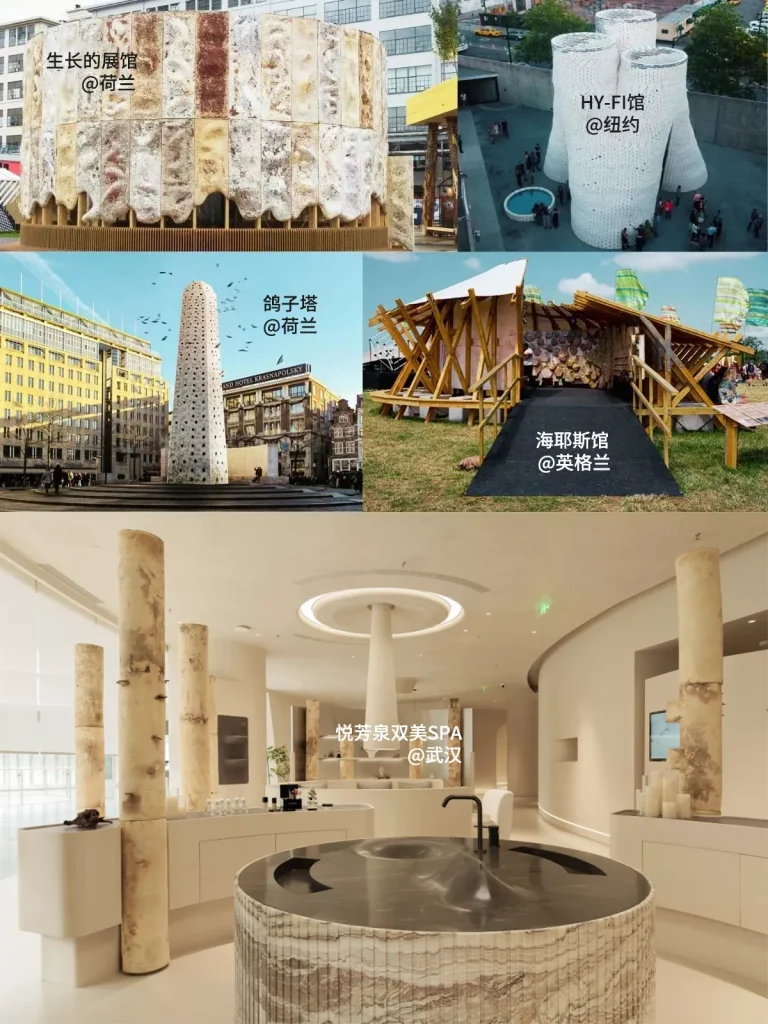 你会喜欢了解的7个菌丝复合材料的意外用途 3 oxuac