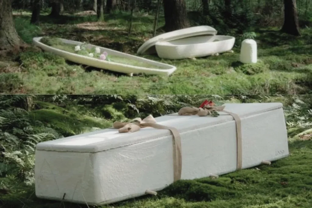 你会喜欢了解的7个菌丝复合材料的意外用途 9 rsw 12