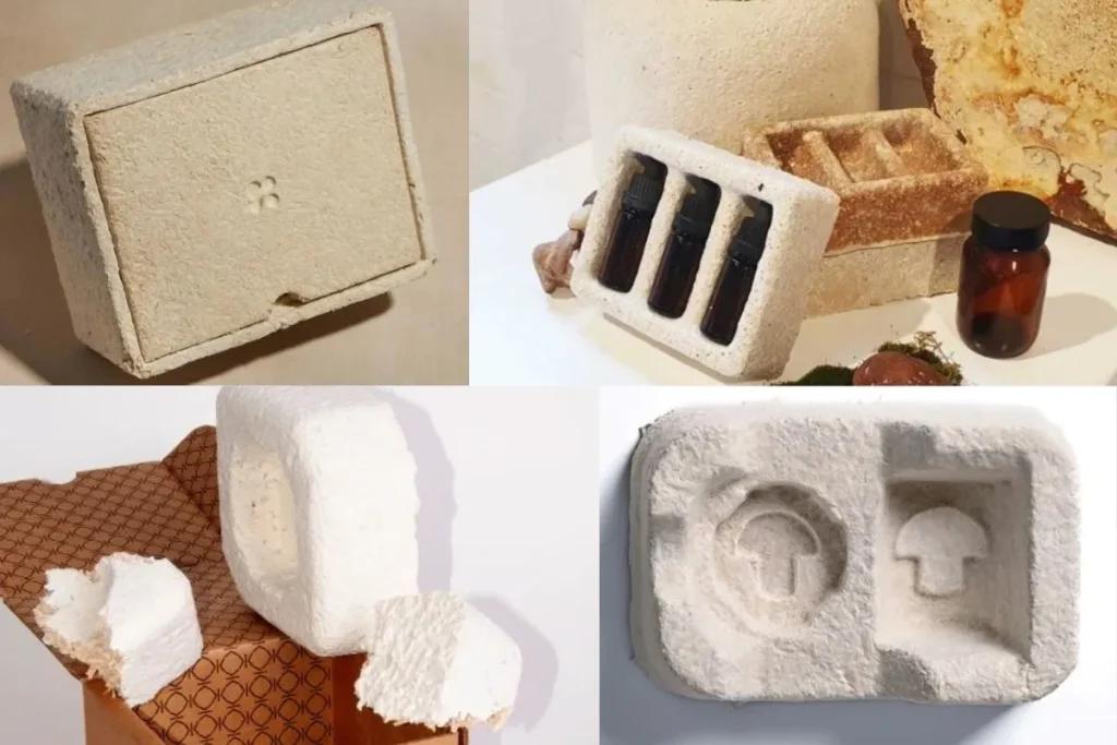 你会喜欢了解的7个菌丝复合材料的意外用途 4 rswjr