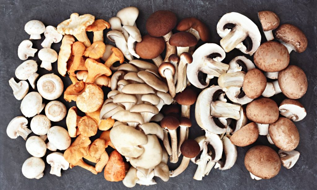 A selection of fresh mushrooms