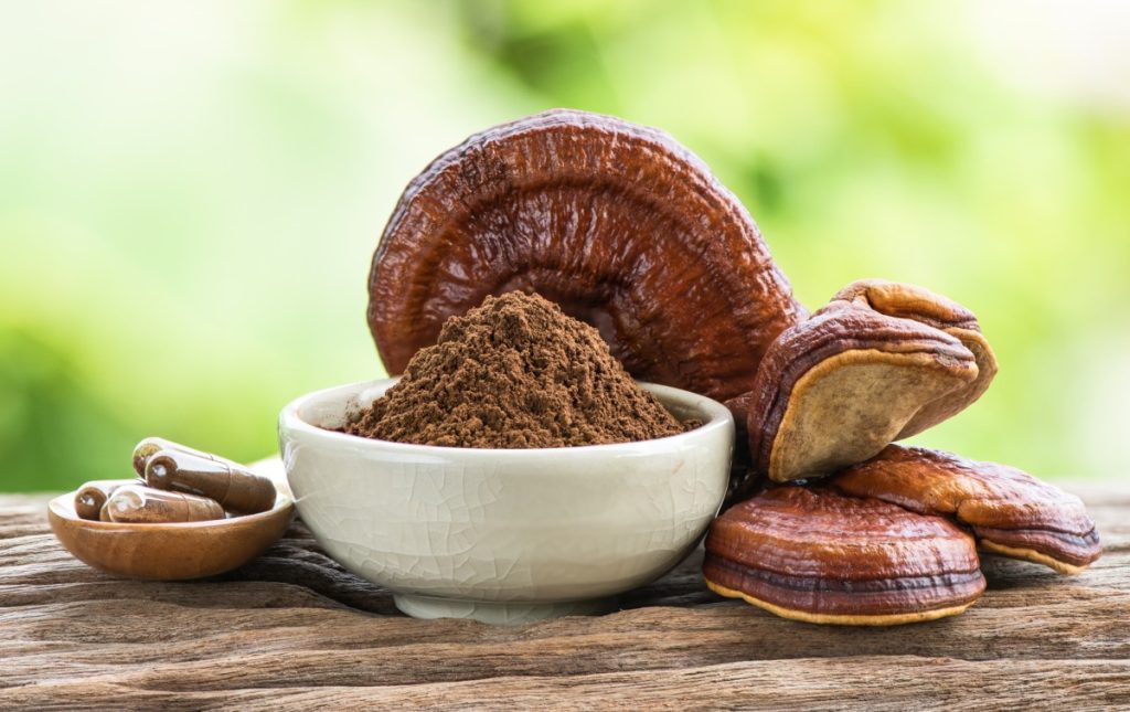 Dried reishi and reishi capsules