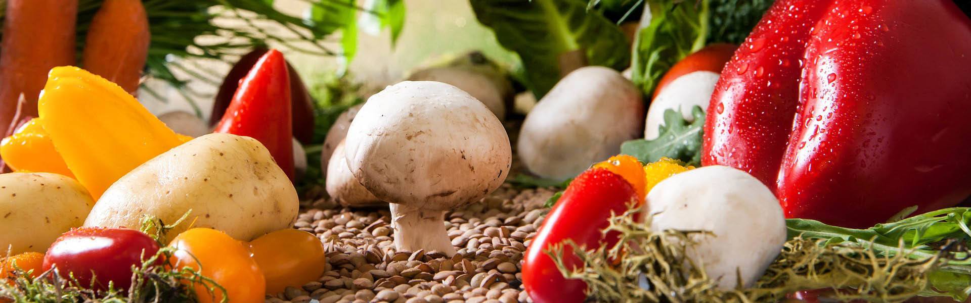 蘑菇的健康和营养益处 1 Health and Nutritional Benefits Of Mushrooms