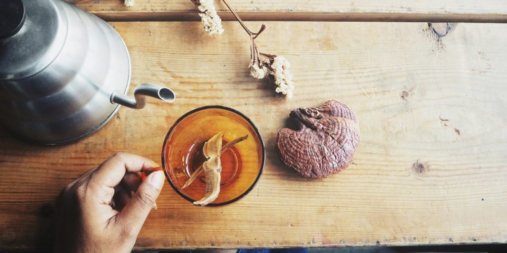 药用蘑菇:完整指南 18 How To Consume Medicinal Mushrooms 1