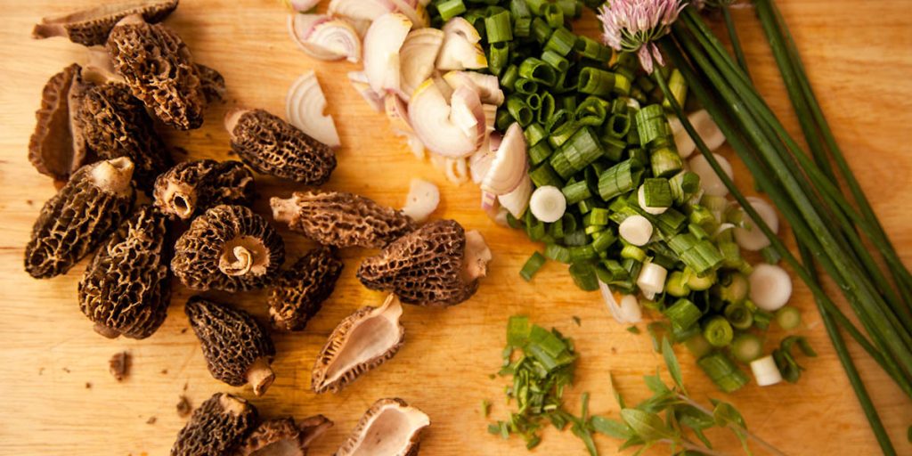 How To Cook Morel Mushrooms