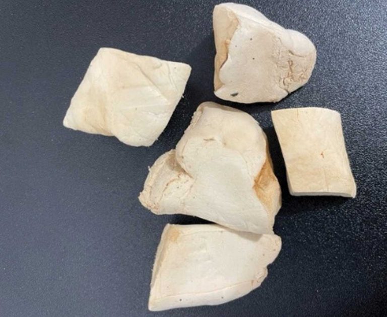 IFJ 6 2025 mycelium Fabricated Mycelium Foam