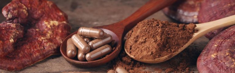 Medicinal Mushrooms The Complete Guide 1024x320 1