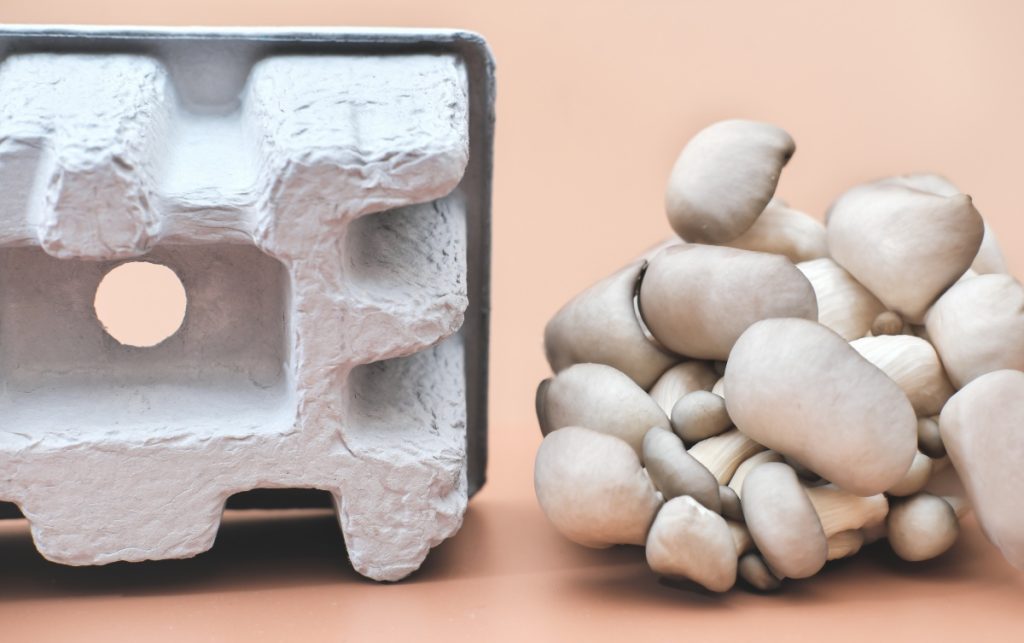 什么是蘑菇菌丝体?用途及生长方式 8 Mushroom Mycelium Packaging
