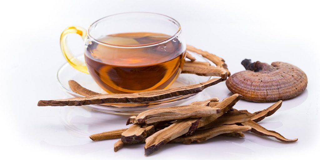 Reishi Mushrooms 1 1