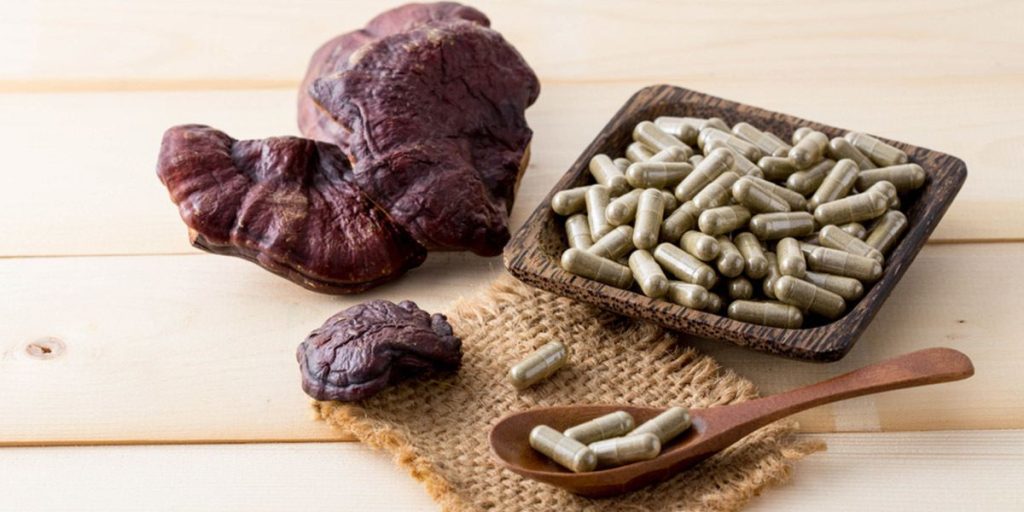 药用蘑菇:完整指南 8 The Medicinal Benefits Of Mushrooms