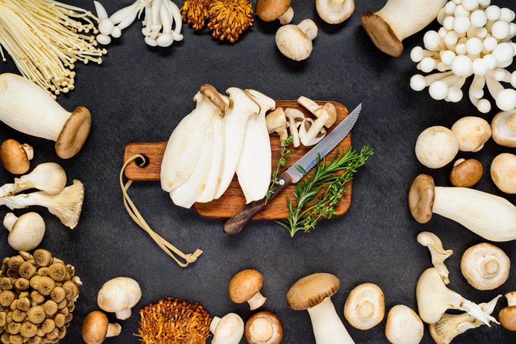different types of edible mushrooms