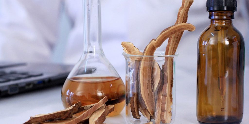 reishi mushroom extracts