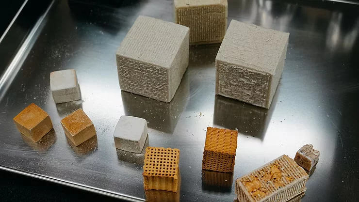 活体建筑材料:真菌和细菌如何创造自我修复建筑 2 byqwn hnj0f