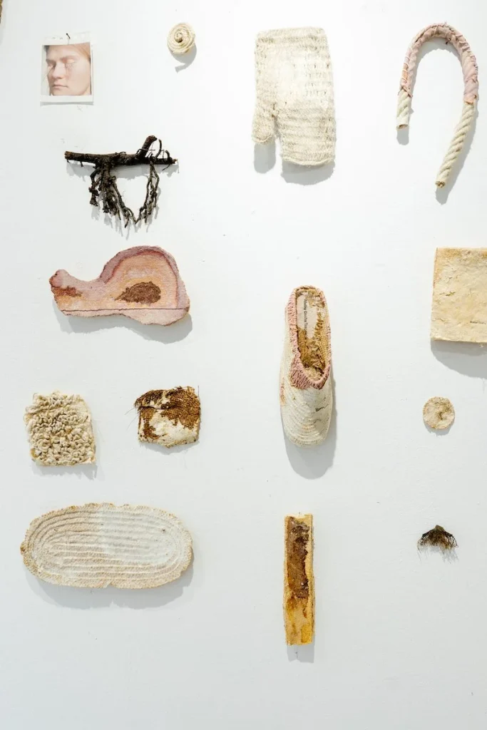 dsc07554 1 1724847056