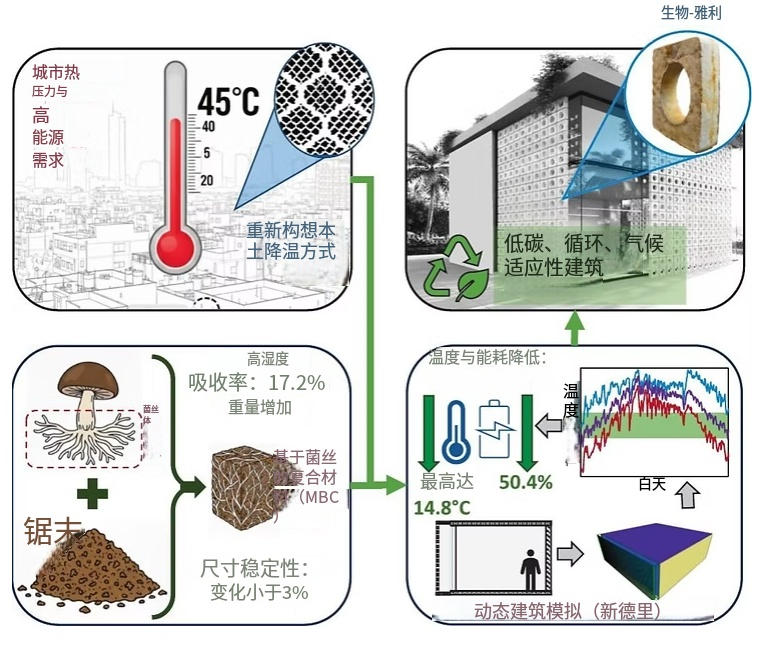 基于菌丝体的外墙可以将建筑的制冷能耗消耗减半 4 gerki