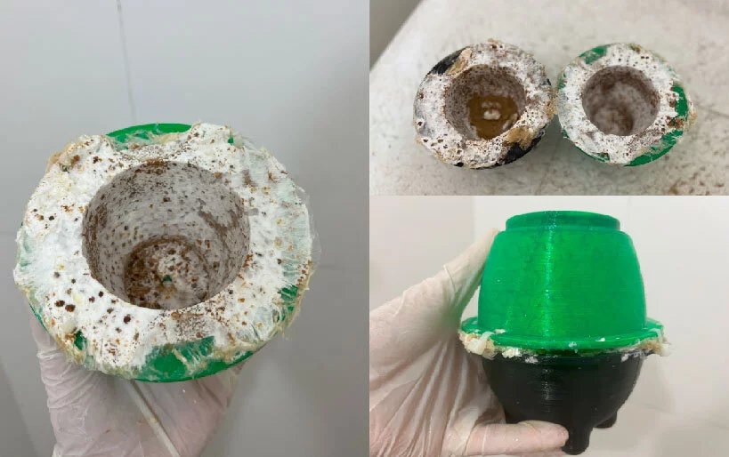 菌丝体材料DIY的成品可以保存多久以及可降解需要多长时间? 2 xz71l h4jn2
